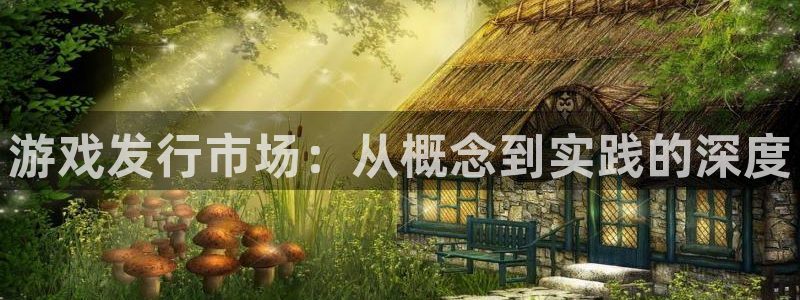广东pp电子电商bruno：游戏发行市场：从概念到实践的深度