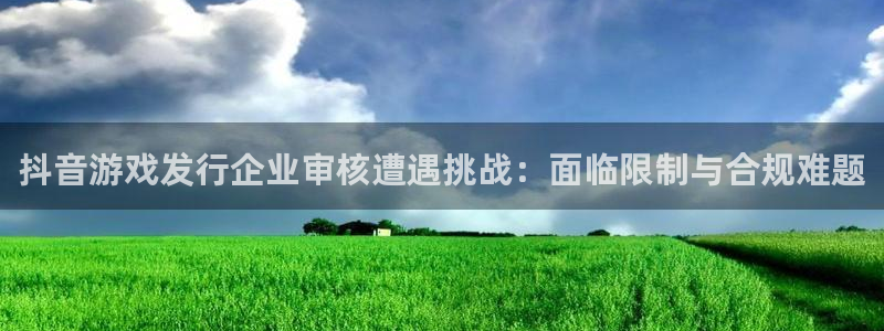 pp电子子文化：抖音游戏发行企业审核遭遇挑战：面临限制与合规难题