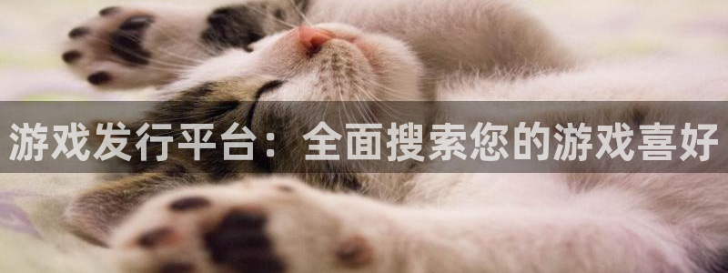 pp电子官网平台代理开号是真的吗