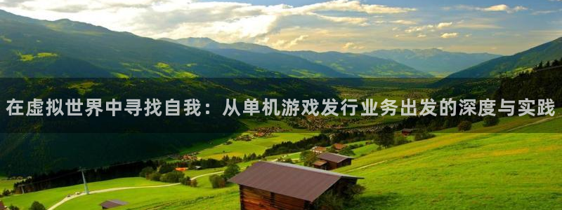 pp电子科技股票：在虚拟世界中寻找自我：从单机游戏发行业务出发的深度与实践