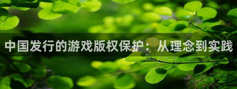 广州pp电子网络科技有限公司招聘：中国发行的游戏版权保护：从理念到实践
