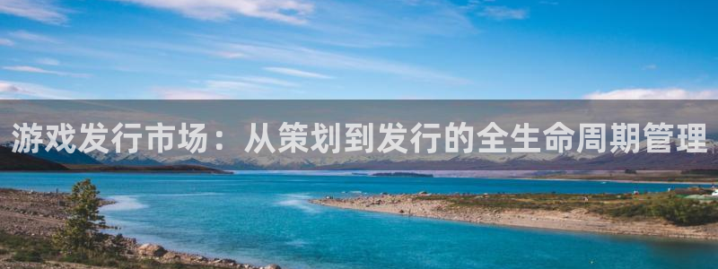 pp电子子猫图片：游戏发行市场：从策划到发行的全生命周期管理