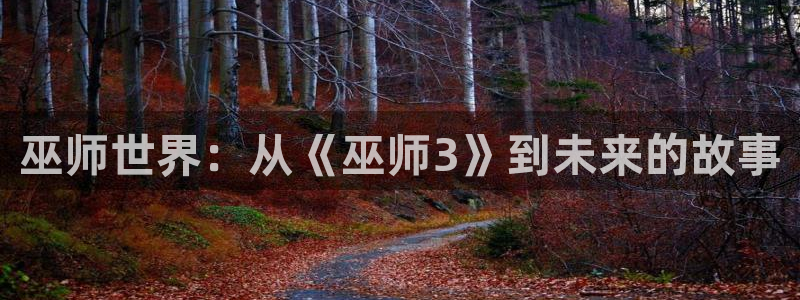 pp电子龙