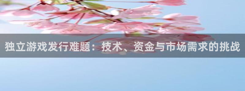 pp电子官网注册方法是什么软件：独立游戏发行难题：技术、资金与市场需求的挑战