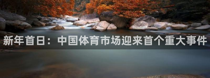 pp电子是什么
