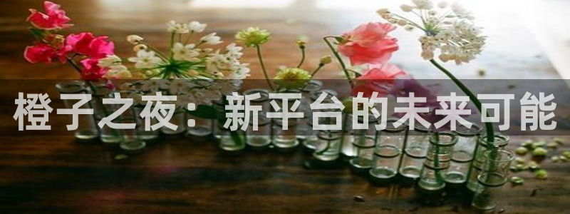 pp电子是什么品牌：橙子之夜：新平台的未来可能