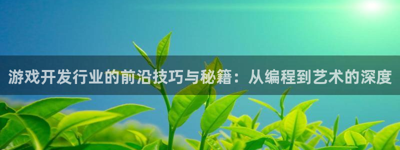 pp电子集团是什么企业