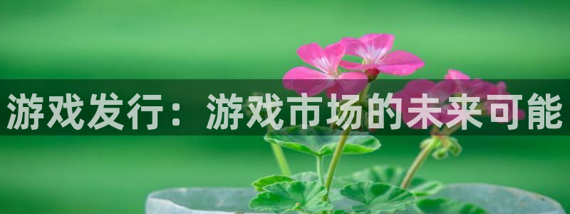 pp电子官网解绑银行卡怎么操作：游戏发行：游戏市场的未来可能