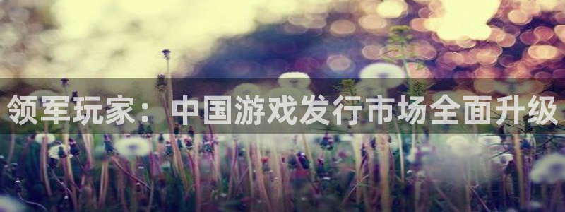 pp电子官网注册地址查询