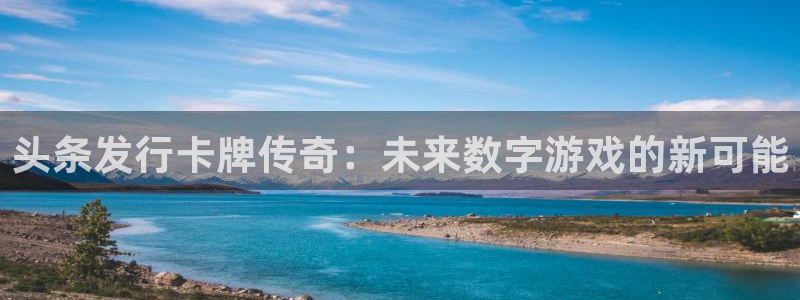 pp电子是什么品牌